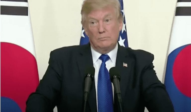 President Trump Has Perfect Response to Reporter’s Question About Gun Control