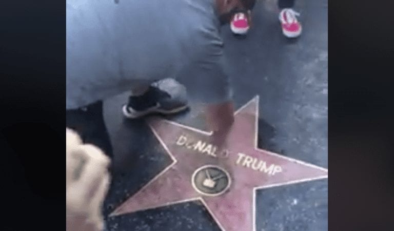 VIDEO: Patriots Clean the Donald Trump Hollywood Star!