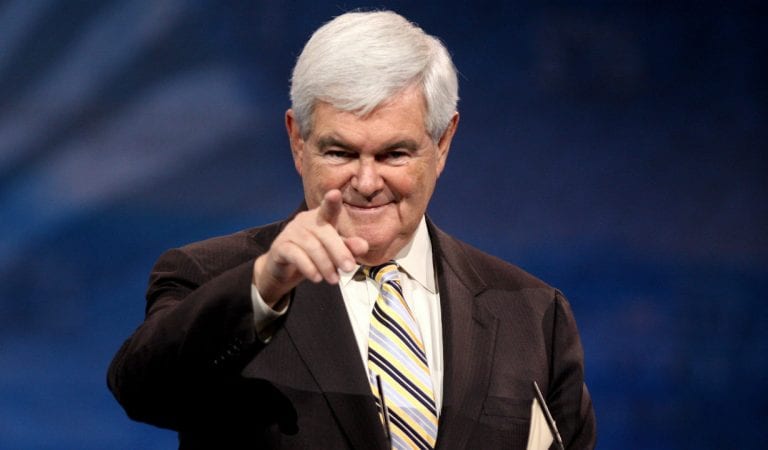 Newt Gingrich Attacked For Calling the Biden Administration Anti-American