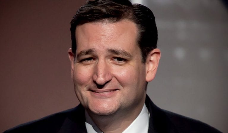 FLASHBACK:  Ted Cruz Has Brilliant Idea to Fund the Wall