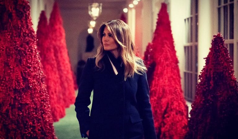 Melania Trump Decorates The “People’s White House” Beautifully For Christmas!