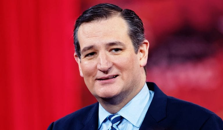 Ted Cruz Has Brilliant Way To Help Trump Fund The Wall