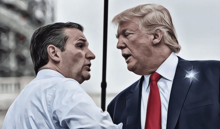 GOT TRUMP’S BACK:  Ted Cruz Lays Blame For Shutdown Right on Schumer