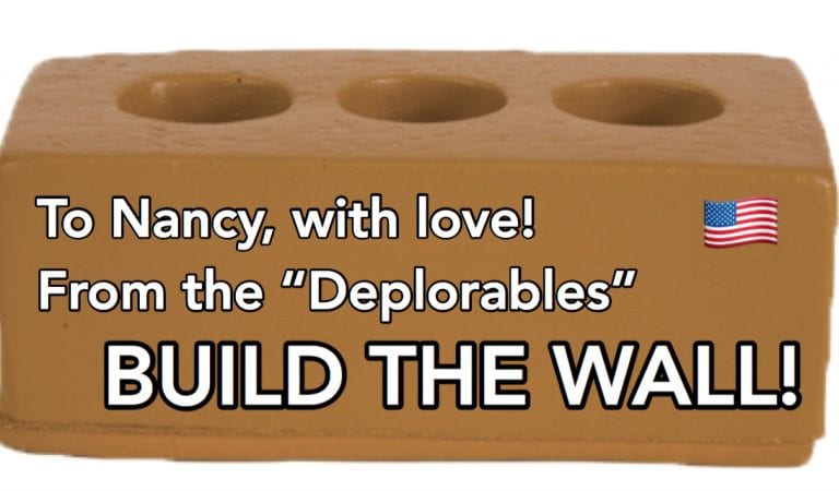 BUILD THE WALL!  Help Send Nancy Pelosi A Truckload Of Bricks!  Over 2,000 Already!