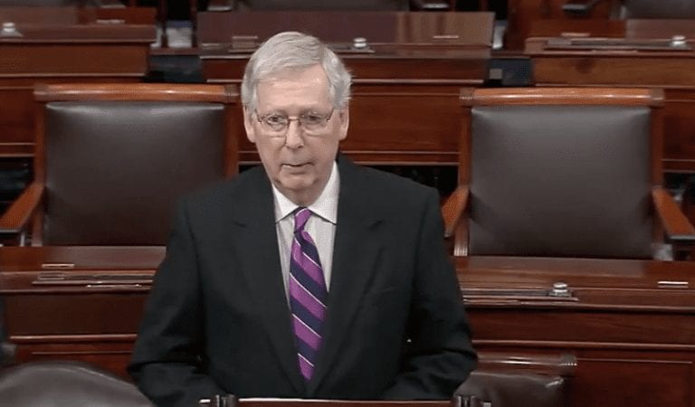 Sen. Mitch McConnell Just Laid It All On The Line, So Sad!
