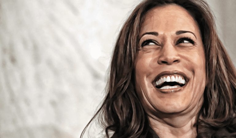 Kamala Harris Just Called For a Change To The Election Process….And We Agree With Her!
