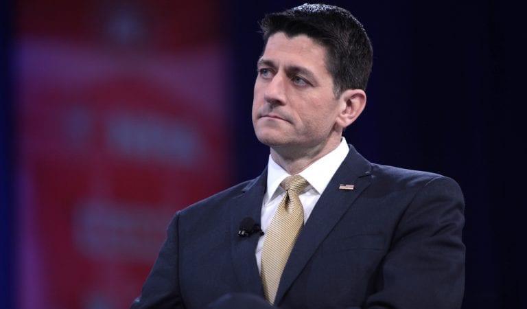 RINO Paul Ryan Joins Board of Directors of Fox News’ Parent Company