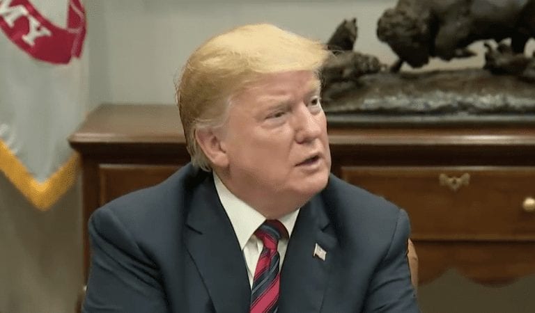 President Trump Just Said It:  “The Democrats Are For Open Borders and They’re For Crime”