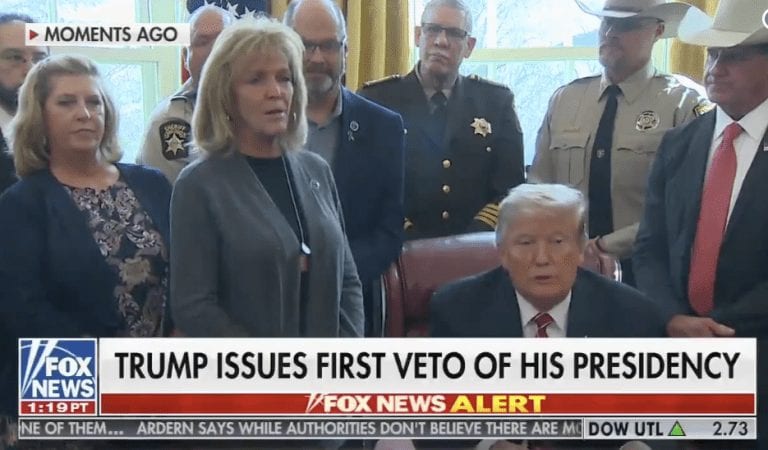 VIDEO:  Angel Mom Gives Powerful Statement After President Trump Signs Veto!