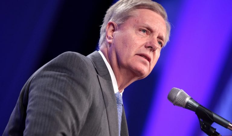WATCH: Fed Up Lindsey Graham Drops F BOMB at AG Barr Hearing on Live TV!