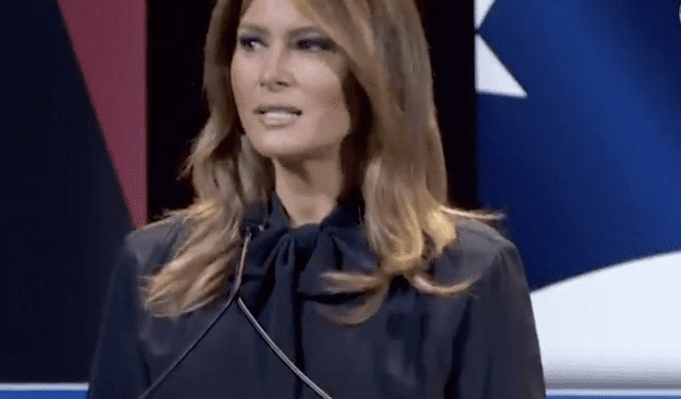 EXPOSED:  The Deep State Was Going After Melania Too!
