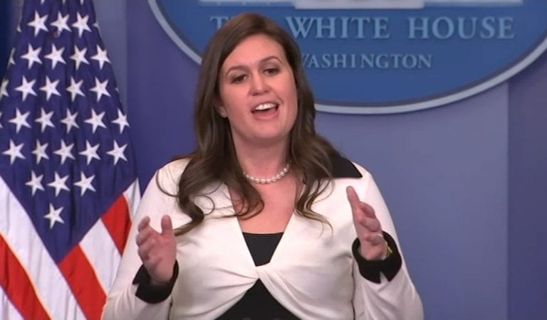 Sarah Sanders Let The Dems Have It:  “Disgraceful and abusive!”