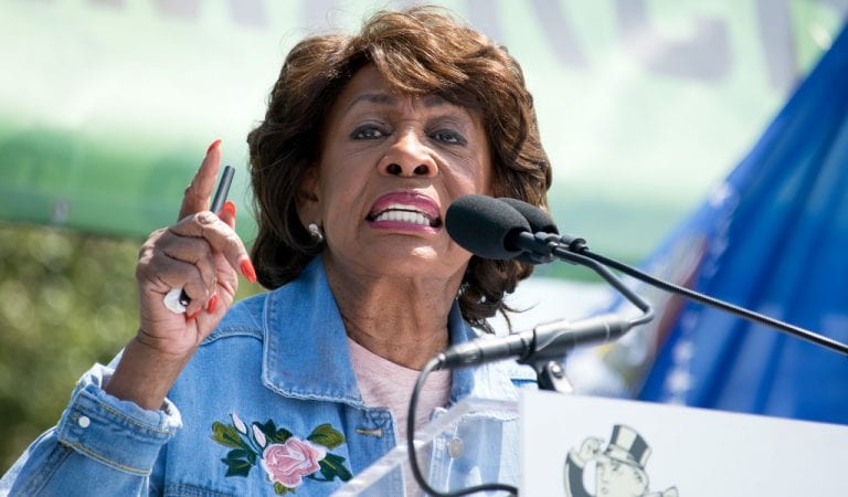 SHE’S BACK: Maxine Waters Vows To Impeach Trump!