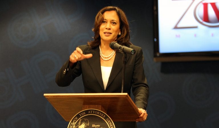 Kamala Harris Wants Tougher Gun Control, But Just Admitted She Owns a Gun For “Personal Safety”!