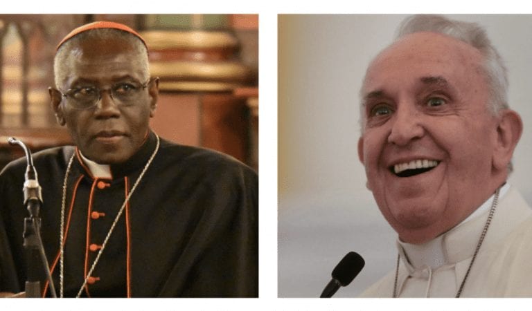 Meet The Cardinal Who Just Told The Pope He’s Dead Wrong On Mass Migration!