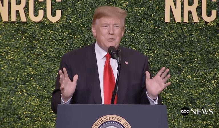 WATCH: President Trump Mocks “Young Bartender” and Her Green New Deal