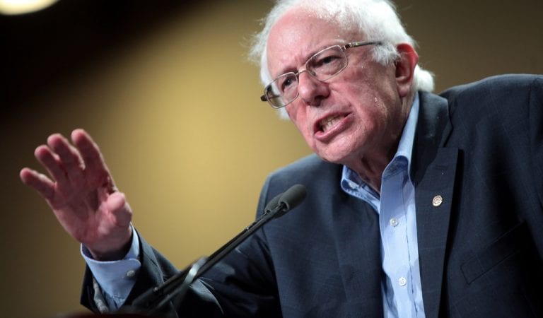 Americans Fire Back At Bernie Sanders on Twitter After He Says Abortion Is A “Constitutional Right”