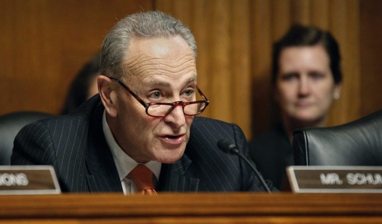Chuck Schumer Tries To Attack Trump On Father’s Day, Gets Brutally DESTROYED on Twitter