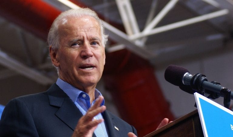 Joe Biden Officially Jumps The Shark