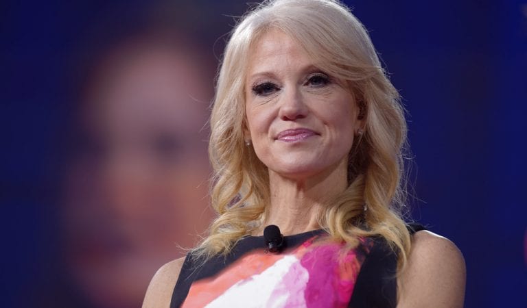 Kellyanne Conway Publishes Major Notice in NYT Op-Ed: A ‘fool’s errand’ to write off Trump in 2024