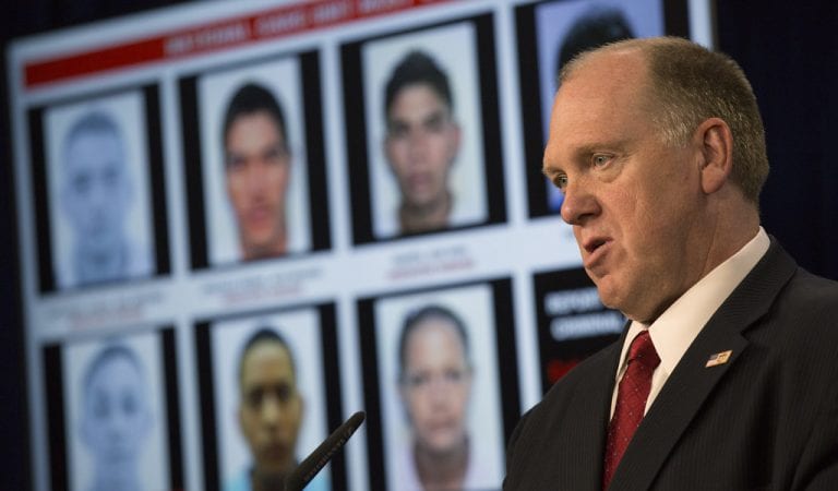 Obama’s ICE Chief: Cages For Migrant Kids Were From Obama Administration!