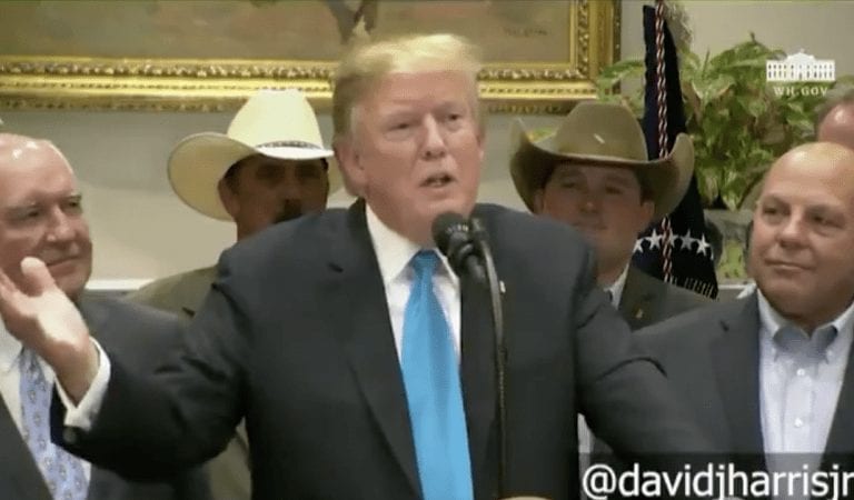 WATCH President Trump ‘Name Names’ of Who He Thinks Committed Treason!