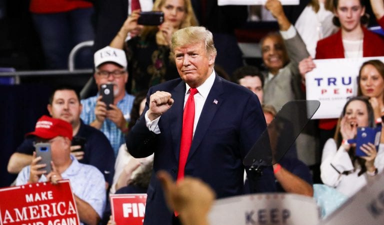 SURGE: Trump Approval Ratings Hit All Time High!