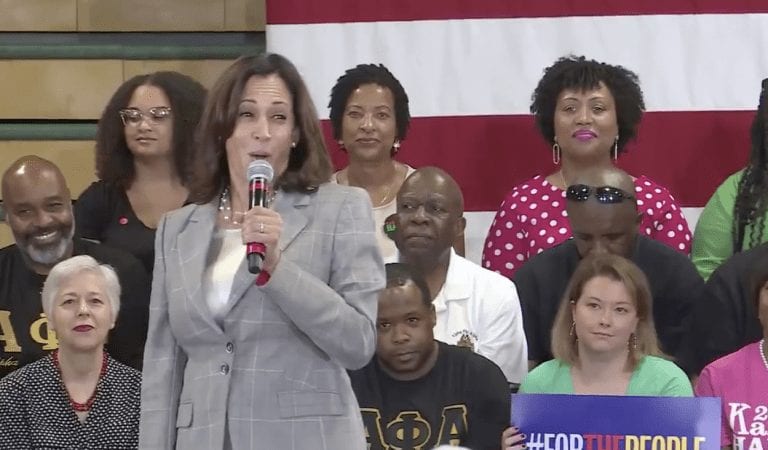 Kamala Harris Has Another Cringeworthy, Phony Moment!  Laughs Uncontrollably.