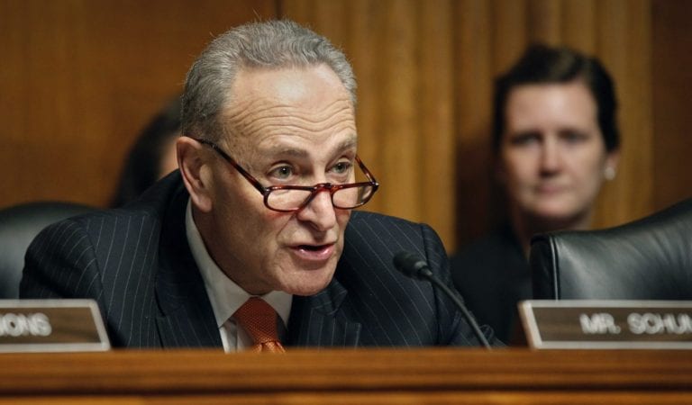 TIED TOGETHER? Docs Show Chuck Schumer Received Thousands From Epstein!