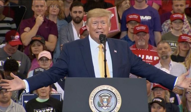 President Trump at Lake Charles Rally:  ‘Nervous Nancy’ Hates The Country