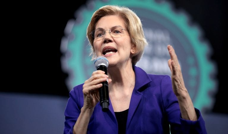 2007 Warren Interview Appears To Contradict Her New Claim She Was Fired For Being Pregnant