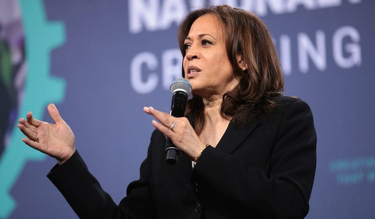 Kamala Harris: Trump’s “Twitter Account Should Be Suspended”