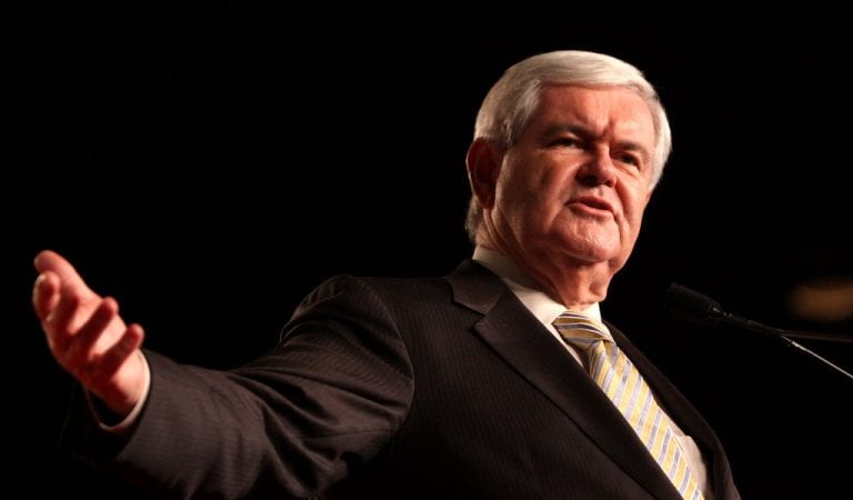 Newt Gingrich Predicts 2020 Will Be A “Disaster” For Democrats, House Will Turn Red