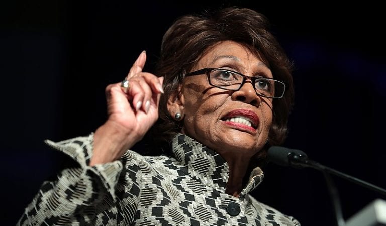 Maxine Waters Attacks Ben Carson: He Doesn’t “Have The Intelligence To Do The Job”