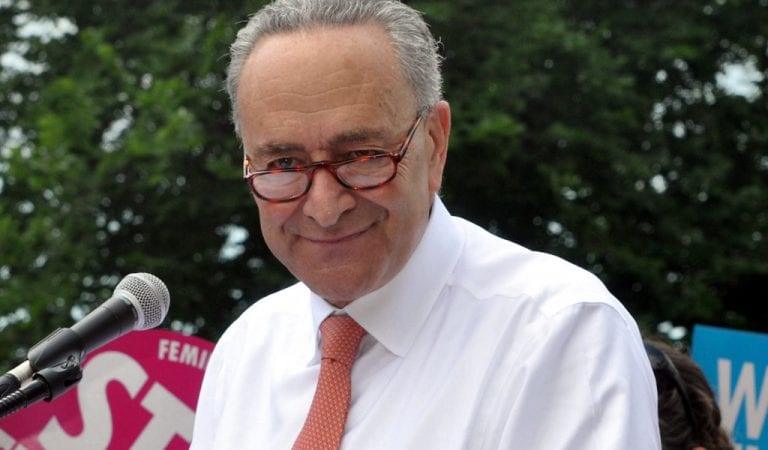 Chuck Schumer: If Hunter Biden Testified, It Would Turn Impeachment Trial Into A “Circus”