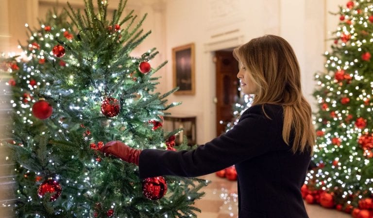 Melania Showcases White House Blue Room Christmas Tree In Timelapse Video