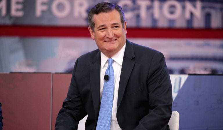 Ted Cruz Rips FBI’s Russia Investigation: “This Wasn’t Jason Bourne – This Was Beavis and Butthead”