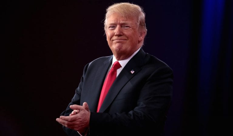 Zogby Poll: Trump Beating Biden & All Other Democrat Candidates Nationwide