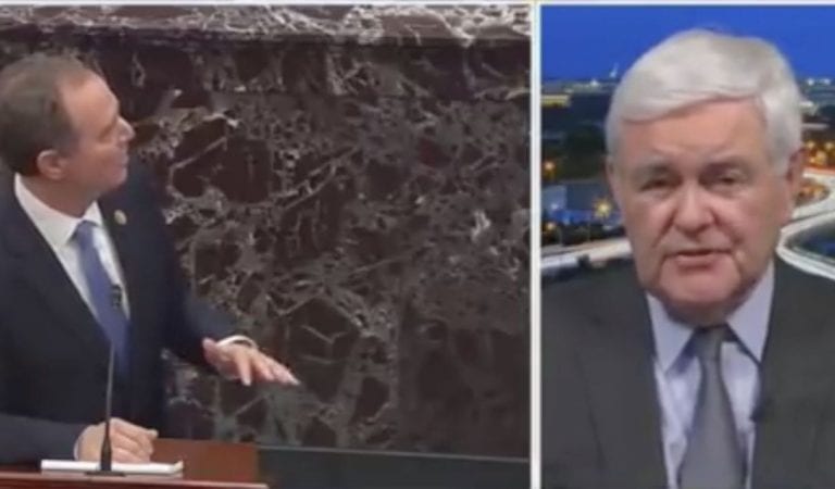 Newt Gingrich:  Adam Schiff A “Deranged, Pathological Liar”, Should Be Stripped From Intelligence Committee
