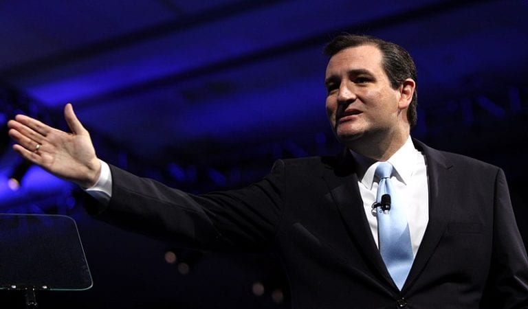 Cruz Introduces Senate Resolution Praising Soleimani Strike, Challenging Dems To Oppose