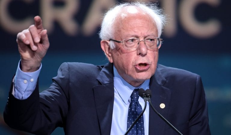 New Poll Claims Bernie Sanders Has Doubled His Lead Over Trump, Now Up 4 Points