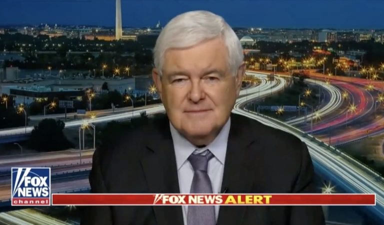 Newt Gingrich Predicts Nancy Pelosi Will Be OUT As Speaker After 2020 Elections