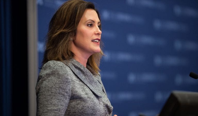 Michigan Governor Gretchen Whitmer Bans Seed Sales as “Non-Essential,” But Allows Lottery Ticket Sales
