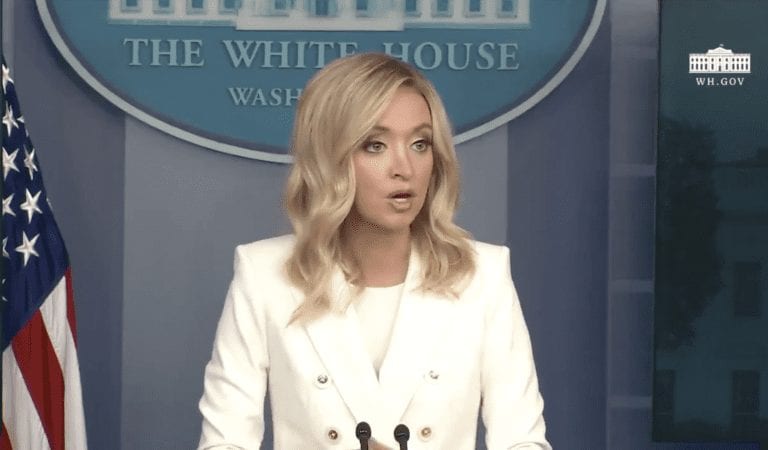 Better Than Sarah Huckabee? New WH Press Sec. Kayleigh McEnany Hits The Press and Then Walks Off Stage