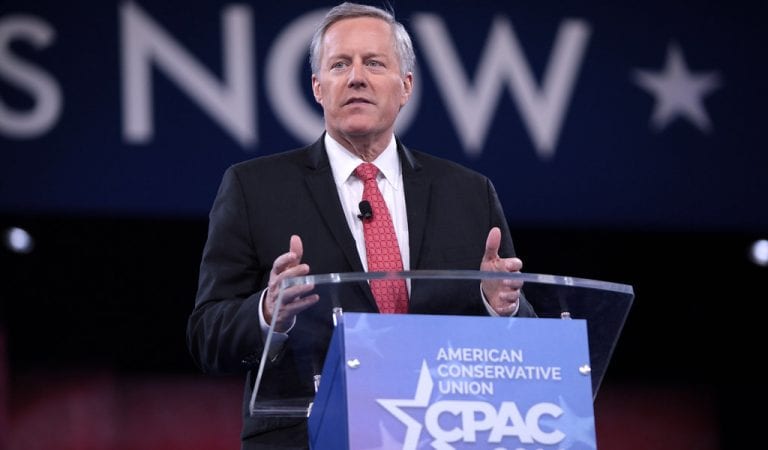 Mark Meadows: Trump the Only Thing Standing Between Americans and the ‘Mob’