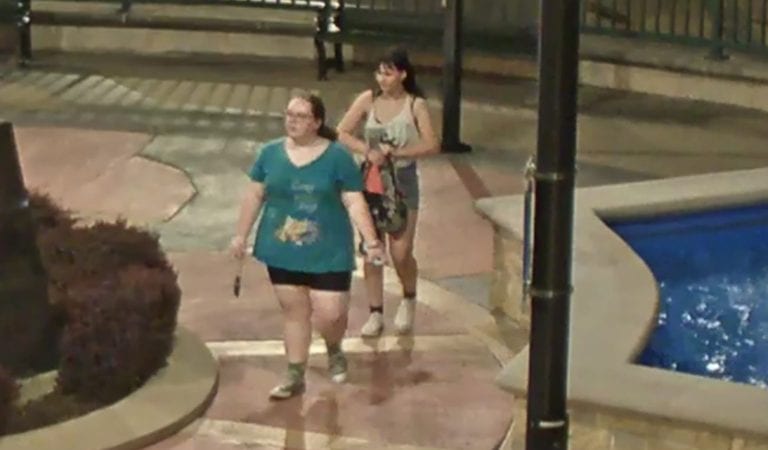 Dixon Police Have Pictures of the Suspects In The Ronald Reagan Statue Vandalism