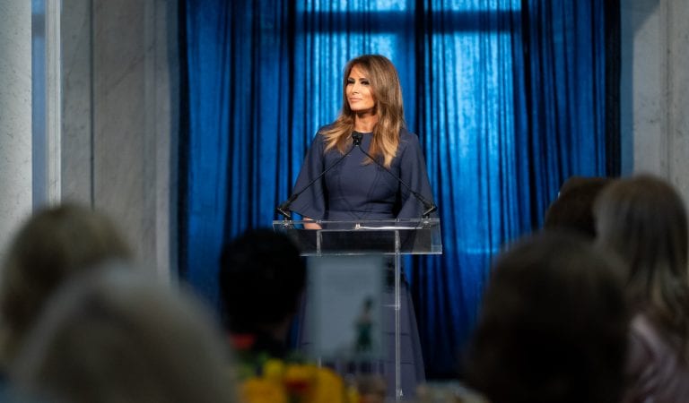 Celebrities  Bash Fist Lady Melania Trump During the 2020 RNC Speech: You Are A ‘Dumb Animal’