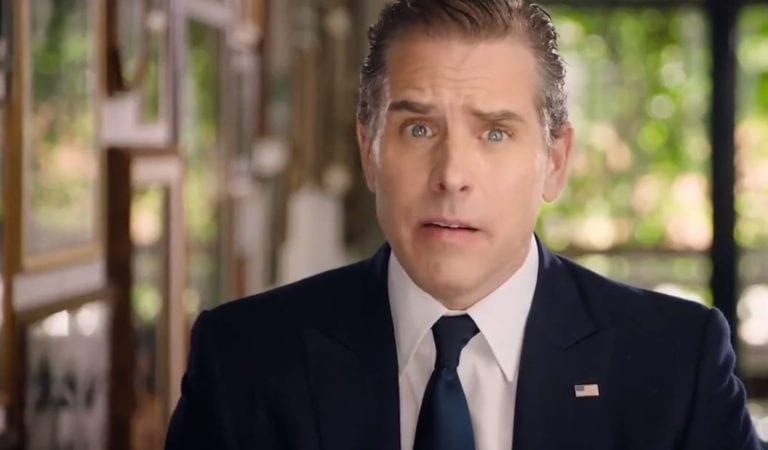 Hunter Biden Makes Appearance at DNC Convention