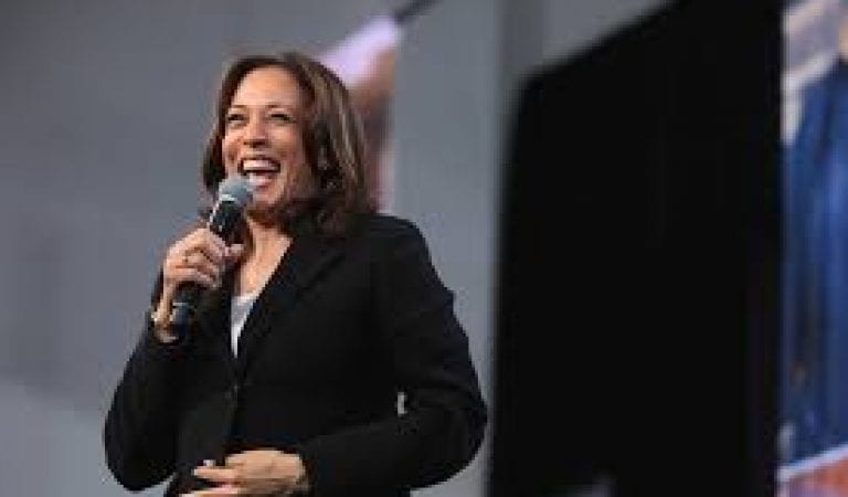 Kamala Harris Tricked by Greta Thunberg Impersonator in Phone Call, Agrees to Accept Foreign Recording of Trump