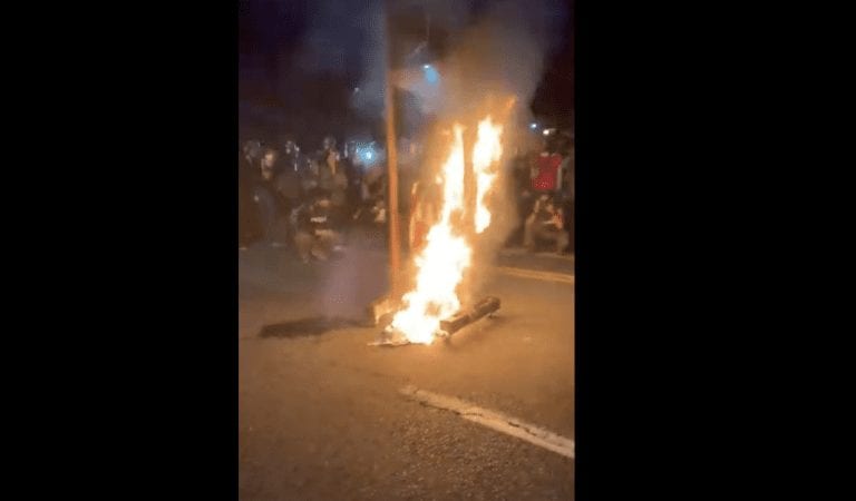 Portland Protesters Bring Out The Guillotine; Burn American Flag and Stuffed Bear